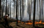 skovbrand. Lokale indbyggere udenfor byen Voronezh, der ligger 500 kilometer syd for Moskva, forsøger at dæmme op for flammerne. 