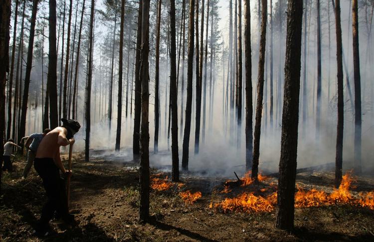 skovbrand. Lokale indbyggere udenfor byen Voronezh, der ligger 500 kilometer syd for Moskva, forsøger at dæmme op for flammerne. 