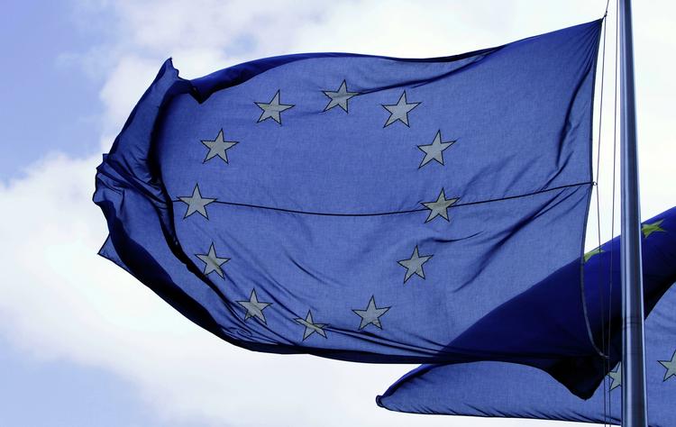 EU-flaget. Danmark bør takke nej til EU-formandskabet i 2012, mener Europabevægelsens formand. 