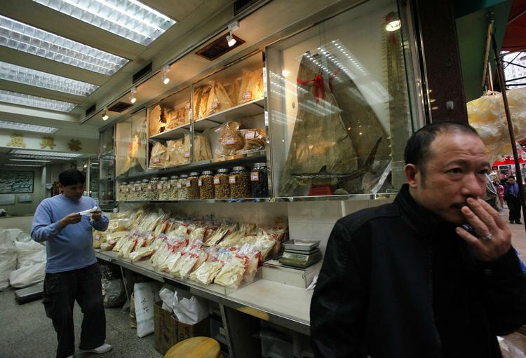 INDKØB. Det blandt andet brasilianske hajer, der leverer finner til det asiatiske marked. 