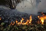 skovbrand. De starter hele tiden nye brande - flere hundrede hvert eneste døgn. Rusland kæmper mod stadig mod flammerne efter den varmeste sommer i 130 år. 