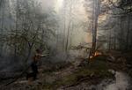 Some 830 forest and woodland fires are burning across Russia - many of them still out of control. 