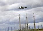 Duer. Der er for mange ringduer syd for Københavns Lufthavn. 