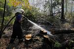 Mere end 4.000 frivillige fra ungdomsorganisationer og tidligere brandmænd hjælper med at slukke de voldsomme skovbrande i Rusland, oplyser Russia Today 