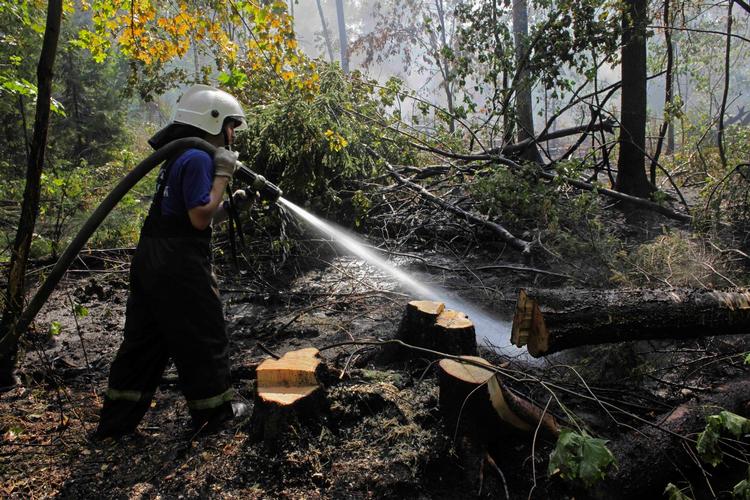 Mere end 4.000 frivillige fra ungdomsorganisationer og tidligere brandmænd hjælper med at slukke de voldsomme skovbrande i Rusland, oplyser Russia Today 