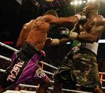 Fight. Jean Pascal og Chad Dawson gav hinanden en drabelig dyst i Bell Centre i Montreal. 