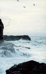 Poesi. Bjartur har ikke fået sin  anorak med på havet, fordi han har travlt med at citere  digte. Så han fryser ihjel efter tolv timers uvejr.  Foto fra omslaget: Corbis/Polfoto 