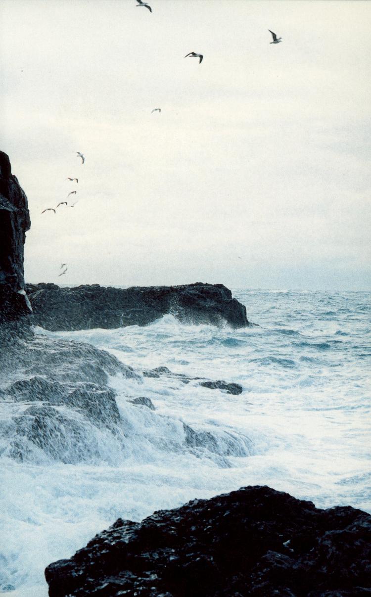 Poesi. Bjartur har ikke fået sin  anorak med på havet, fordi han har travlt med at citere  digte. Så han fryser ihjel efter tolv timers uvejr.  Foto fra omslaget: Corbis/Polfoto 
