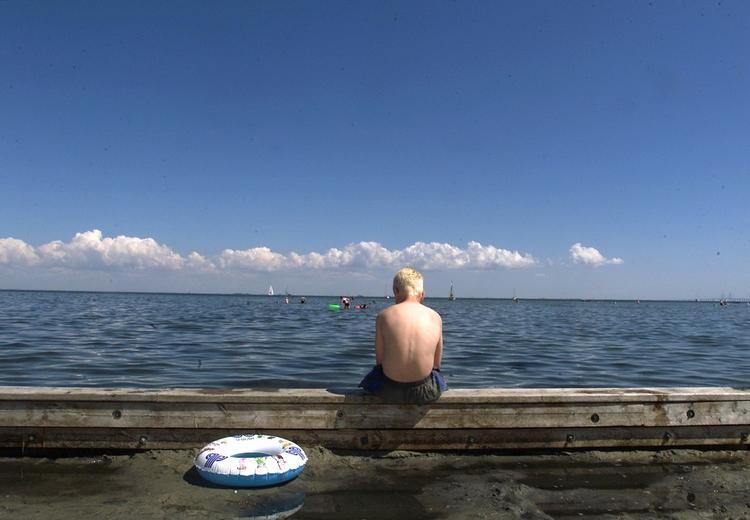 FORURENET. Vandet i Øresund er forurenet efter weekendens regnskyld, vurderer eksperter. 
