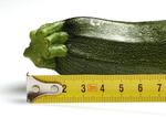 Squash