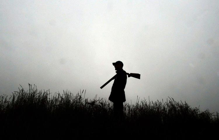 Shetland. Der er mere mågeskrig end mord og lig i Ann Cleeves' 'Rødt støv'. 