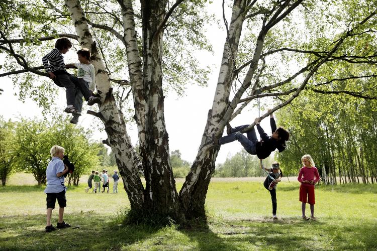 FRISKOLER. Antallet af kommende friskoler, der er anmeldt til Undervisningsministeriet, er højt. Arkivfoto. 