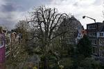 Slutspil. Kæmpekastanjen ved Anne Franks Hus i Amsterdam blev i 2008 forsøgt afstivet.. Men i dag knækkede det 27 ton tunge træ i en kraftig storm. 