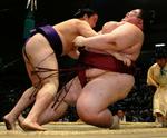 Mobilkrise. Japanske sumobrydere plejer at have godt fat i hinanden, men ikke mobilteknologien. Arkivfoto. 