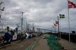 Anklagede. Det er fiskere fra Gilleleje, som har fisket ulovligt i Kattegat, mener Greenpeace, der har dokumenteret fiskernes færden ved hemmeligt at placere gps'er på kutterne. 