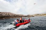 EFTERSØGNING. Da fire danskere forsvandt i bølgerne under sejltur ud for Mandal, iværksatte det norske redningsvæsen en omfattende eftersøgning. Arkivfoto fra indsatsen. 