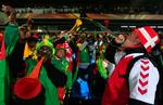 støj. Selv de danske tilskuere blev grebet af vuvuzela-dillen under VM-slutrunden i Sydafrika. Arkivfoto. 