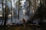 Genopblusset. Brandene omkring Moskva skabte store problemer i en måned. Nu er nye brande brudt ud i det sydlige Rusland. (Arkivfoto) 
