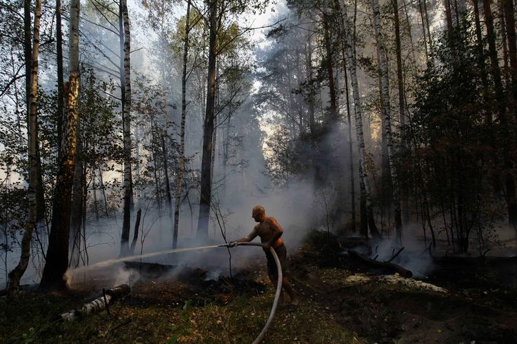 Genopblusset. Brandene omkring Moskva skabte store problemer i en måned. Nu er nye brande brudt ud i det sydlige Rusland. (Arkivfoto) 