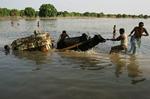 Pakistan Floods