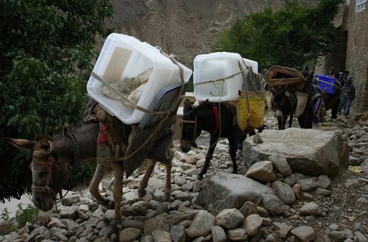 Stemmeæsler. Æsler på vej med stemmesedler til valgsteder i Dara i Panjshir-provinsen i Afghanistan. 