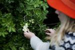 Planteliv. Alle planter skal registreres ét sted. Og der skal være styr på deres navne. 
