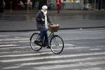 CYKLISTUNODER. Mobilen tjekkes under cykelturen hen over fodgængerfeltet. Arkivfoto. 