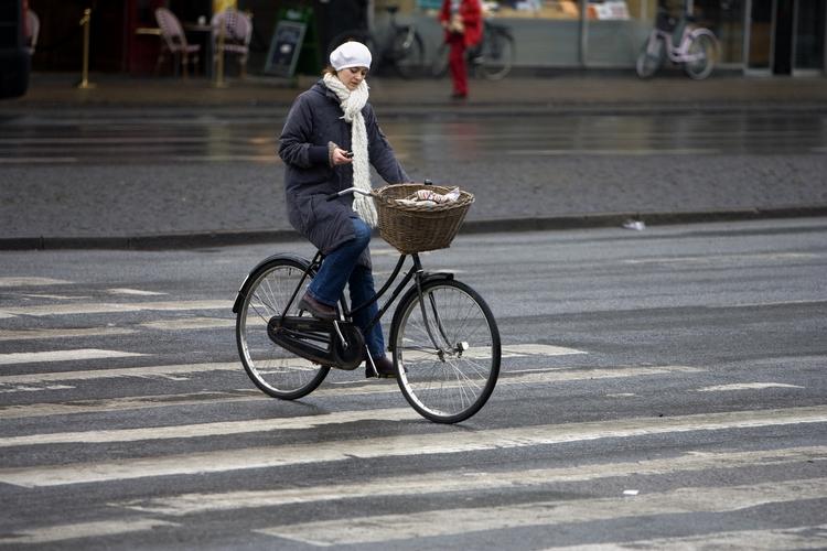 CYKLISTUNODER. Mobilen tjekkes under cykelturen hen over fodgængerfeltet. Arkivfoto. 