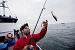 Tag med ud og fisk. Der findes masser af turbåde i Øresund, hvor du som lystfisker kan komme med om bord. Mange steder udlånes der også udstyr. 