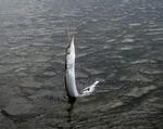 Fiskeri_hornfisk.jpg