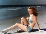 Fund. Den nye Marilyn Monroe-bog bugner med materiale, der aldrig tidligere har været offentliggjort. Arkivfoto. 