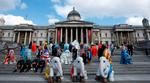 London har allerede haft besøg af 100 glasfiber-elefanter. Til sommer kommer Elephant Parade til København. 