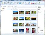 Windows Live Fotogalleri hjælper med at ordne og forbedre dine mange billeder. 