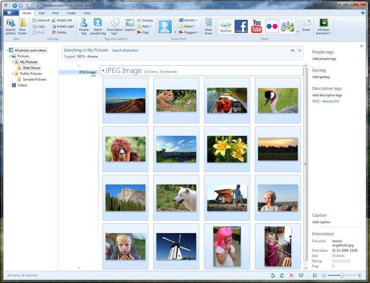 Windows Live Fotogalleri hjælper med at ordne og forbedre dine mange billeder. 