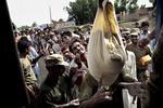 Nødhjælp. I forbindelse med de ødelæggende oversvømmelser i Pakistan har flere religiøse organisationer været i felten med nødhjælp. På verdensplan står religiøse organisationer for en større og større del af udviklingsbistanden. Arkivfoto. 