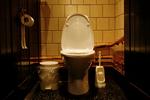 Toiletvaner. Synlig afføring, dårlig lugt, og synlig urin er i nævnte rækkefølge de hyppigst forekommende årsager til, at mændene forretter deres nødtørft andetsteds. 