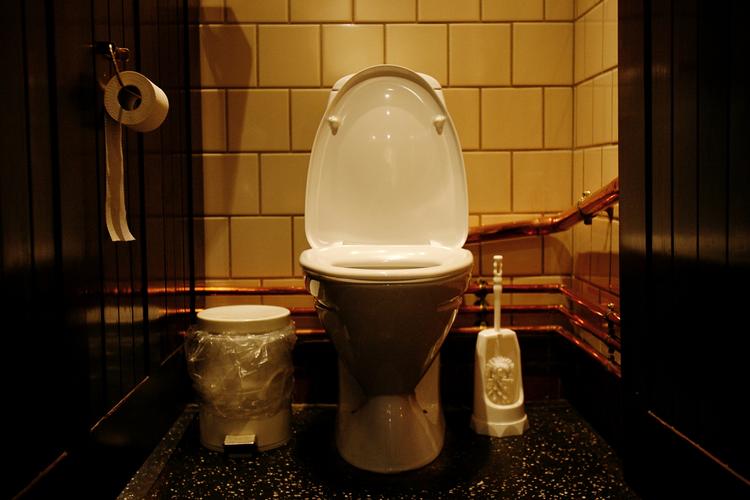 Toiletvaner. Synlig afføring, dårlig lugt, og synlig urin er i nævnte rækkefølge de hyppigst forekommende årsager til, at mændene forretter deres nødtørft andetsteds. 