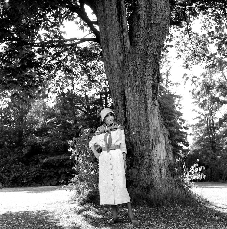 STAMTRÆ. Christian Braad Thomsen bruger fadertabet som afsæt for sine psykoanalytiske læsninger af Karen Blixens forfatterskab. 