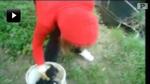 Det er angiveligt en bosnisk teenager, der kaster seks nyfødte hundehvalpe i en flod på en video, der er gået verden rundt. 