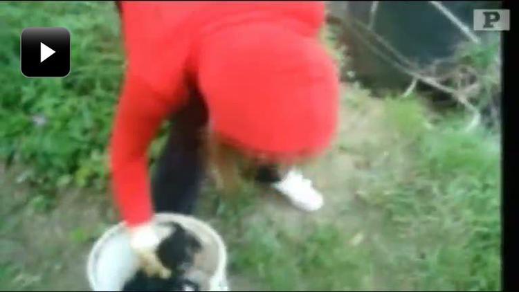 Det er angiveligt en bosnisk teenager, der kaster seks nyfødte hundehvalpe i en flod på en video, der er gået verden rundt. 