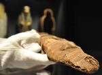 bøh. De to krokodillemumier kan opleves på Ny Carlsberg Glyptotek i København i efterårsferien. 