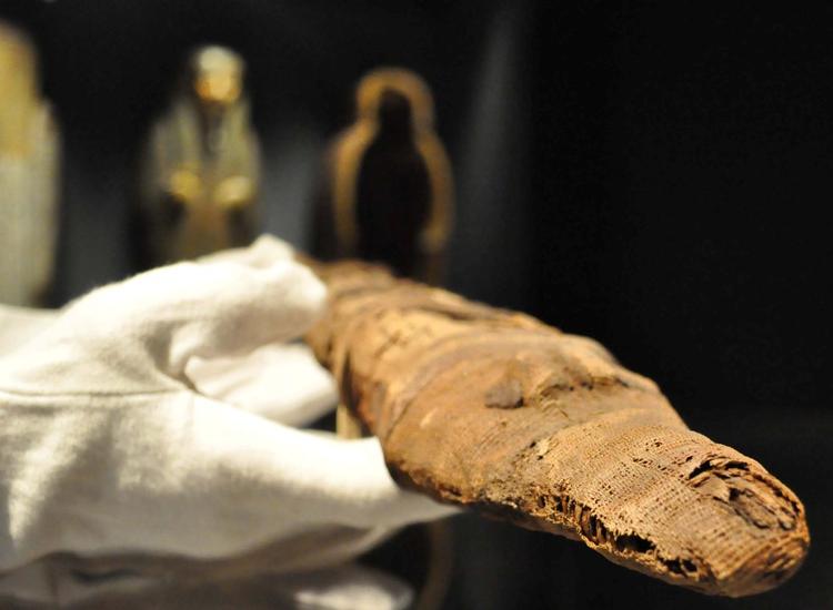 bøh. De to krokodillemumier kan opleves på Ny Carlsberg Glyptotek i København i efterårsferien. 