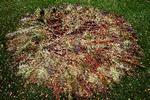 lolryge-bregner_09-10-2010_5IACAC6.jpg