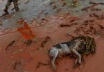 APTOPIX Hungary Sludge Flood
