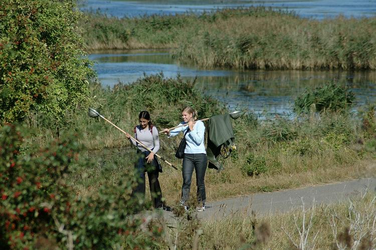 Det tidligere militærområde har blandt andet været et yndet udflugtsmål for biologistuderende. 
