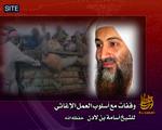 Klimabevidst. Den nye optagelse af den klimabekymrede topterrorist er ledsaget af et billede af en smilende bin Laden. 