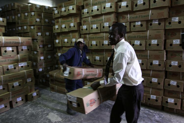 Klyngefilosofi. Hvis et udviklingsland skal sikre gode vækstrater, vil man ifølge 'product space'-teorien nå længst, hvis man satser på de industrier, som ligger i tæt forlængelse af produkter, det pågældende land i forvejen eksporterer. (Arkiv) 