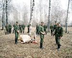 'Cooking History' fortæller blandt andet anekdoter om, hvor meget mad der skal til for at holde krigen i gang. Både før og nu. Eksempelvis går der en hel ko til en portion gullasch til et kompagni russiske soldater. 