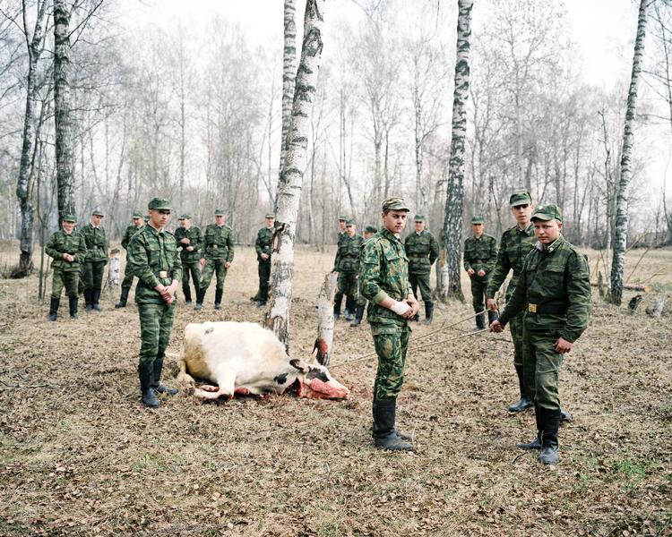 'Cooking History' fortæller blandt andet anekdoter om, hvor meget mad der skal til for at holde krigen i gang. Både før og nu. Eksempelvis går der en hel ko til en portion gullasch til et kompagni russiske soldater. 