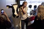 En gruppe teenagepiger prøver at finde nye anvendelsesmuligheder for udstillingens magnetiske ko på Experimentarium i København. 